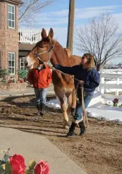 12-27-11 - VET - GOOD BYE_10 12-27-11 - VET - GOOD BYE_10