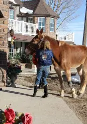 12-27-11 - VET - GOOD BYE_11 12-27-11 - VET - GOOD BYE_11