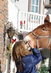 12-27-11 - VET - GOOD BYE_12 12-27-11 - VET - GOOD BYE_12