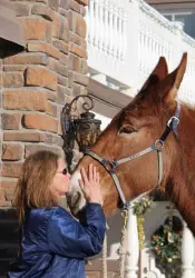 12-27-11 - VET - GOOD BYE_14 12-27-11 - VET - GOOD BYE_14