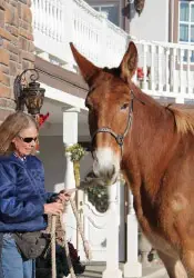 12-27-11 - VET - GOOD BYE_15 12-27-11 - VET - GOOD BYE_15