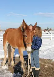 12-27-11 - VET - GOOD BYE_17 12-27-11 - VET - GOOD BYE_17