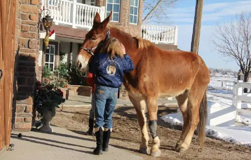 12-27-11 - VET - GOOD BYE_18 12-27-11 - VET - GOOD BYE_18