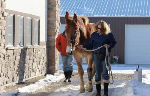 12-27-11 - VET - GOOD BYE_20 12-27-11 - VET - GOOD BYE_20