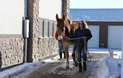 12-27-11 - VET - GOOD BYE_21 12-27-11 - VET - GOOD BYE_21
