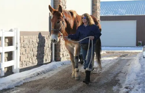 12-27-11 - VET - GOOD BYE_22 12-27-11 - VET - GOOD BYE_22