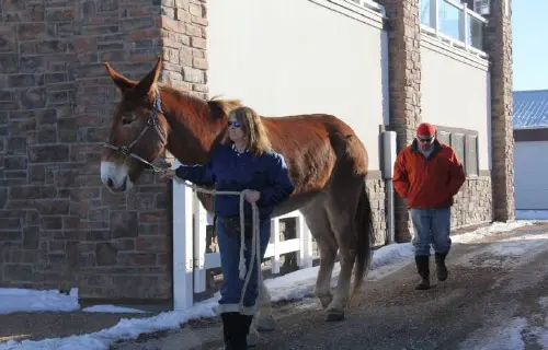 12-27-11 - VET - GOOD BYE_23 12-27-11 - VET - GOOD BYE_23