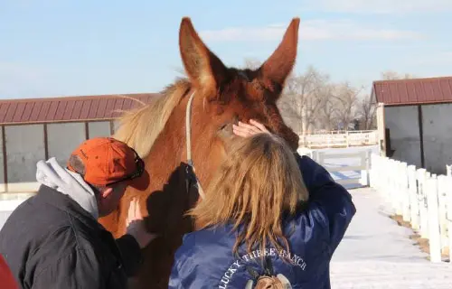 12-27-11 - VET - GOOD BYE_27 12-27-11 - VET - GOOD BYE_27