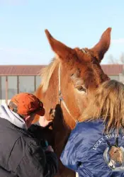 12-27-11 - VET - GOOD BYE_28 12-27-11 - VET - GOOD BYE_28