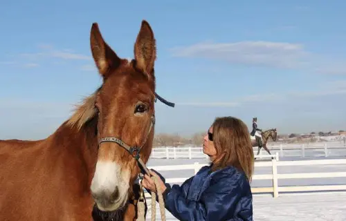 12-27-11 - VET - GOOD BYE_36 12-27-11 - VET - GOOD BYE_36