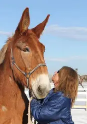 12-27-11 - VET - GOOD BYE_39 12-27-11 - VET - GOOD BYE_39