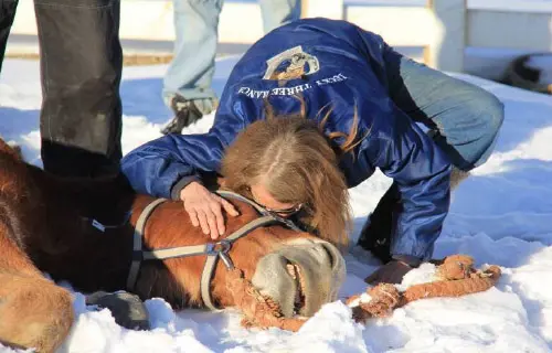 12-27-11 - VET - GOOD BYE_48 12-27-11 - VET - GOOD BYE_48