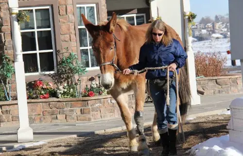 12-27-11 - VET - GOOD BYE_7 12-27-11 - VET - GOOD BYE_7