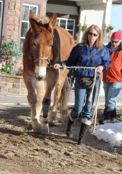 12-27-11 - VET - GOOD BYE_8 12-27-11 - VET - GOOD BYE_8