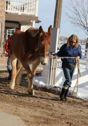 12-27-11 - VET - GOOD BYE_9 12-27-11 - VET - GOOD BYE_9