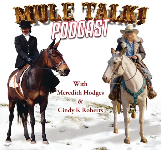 2025 - DEC - MULE TALK - WEB BANNER