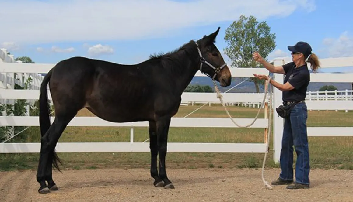 435070524_1004273724401295_3209169816168616122_n