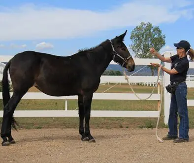 435070524_1004273724401295_3209169816168616122_n