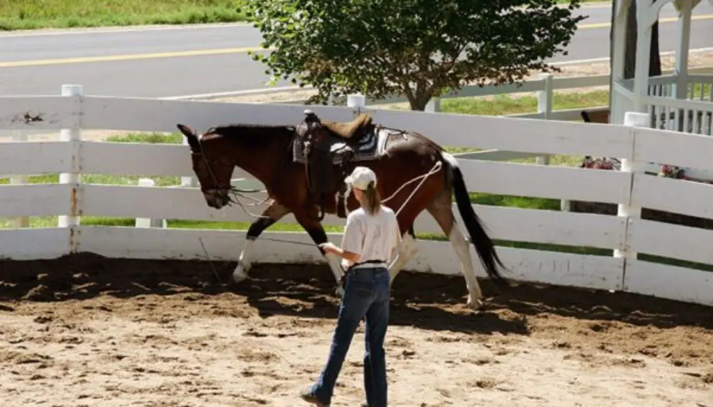 BrandyJubileeRoundpen7-29-11-003CC