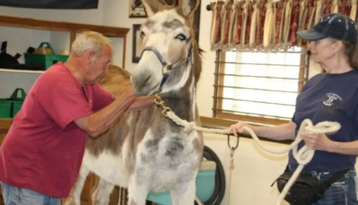 CC - 1st Chiro Adjustment 19