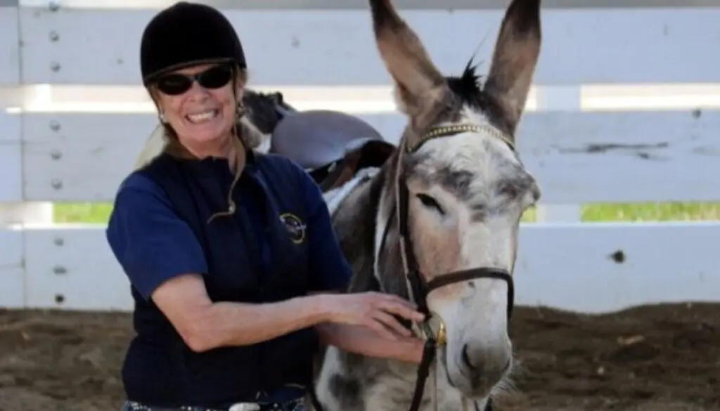 CC - Fione Tuning Response 29