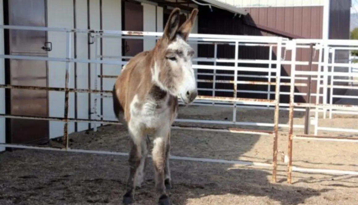 CC - Week Two Bath 1