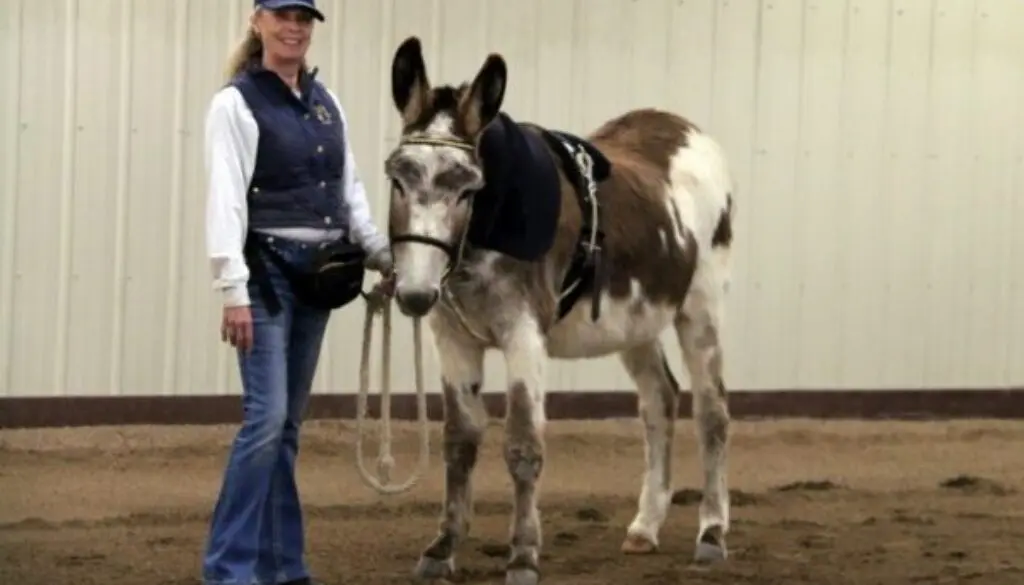 CC - Week Two Workout 15