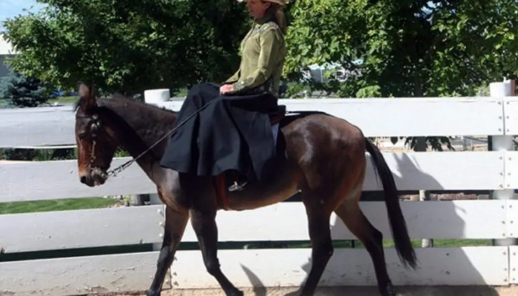 CROPDresRehearsalBeaSunnyLJ7-14-107-10-2010-013CC