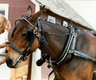 CROPTMD74HighRes2011CC