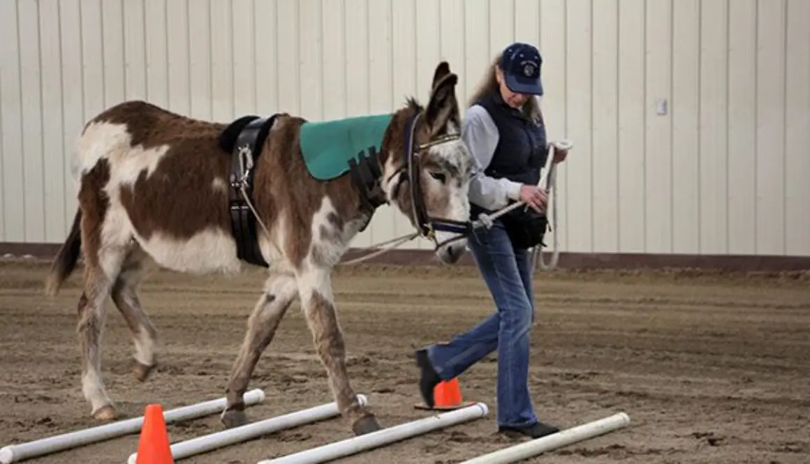 ChasitysFirstWorkout4-1-20_21