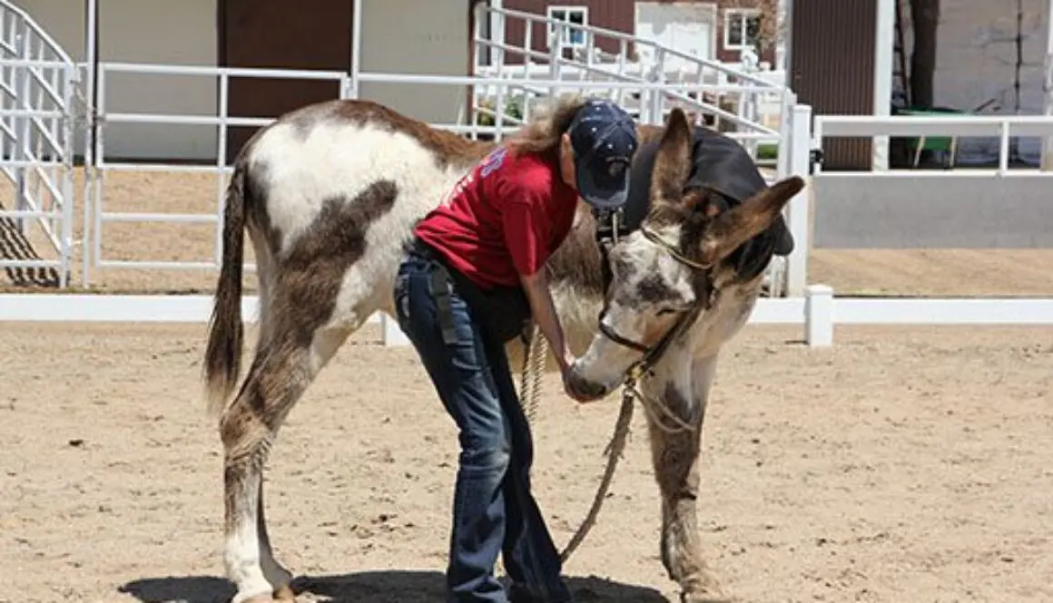 Circles-and-Stretching-5-19-20_32