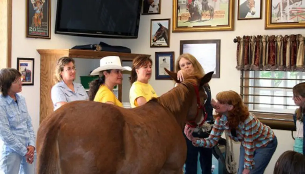 HHClinicEQREV6-2-2010-003CC