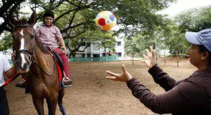 Golconda Equine Therapy