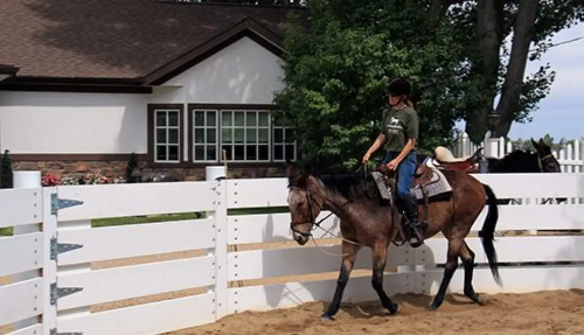 IMG_4440CC-1 IMG_4440CC-1