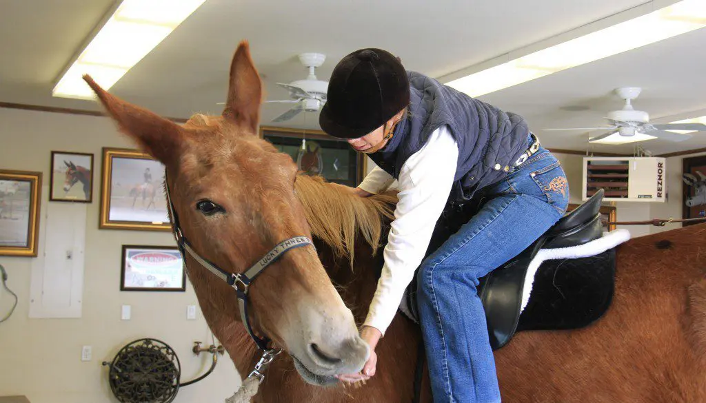 Mer on Roll Mer on Roll