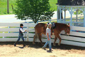 Roll walking in round pen