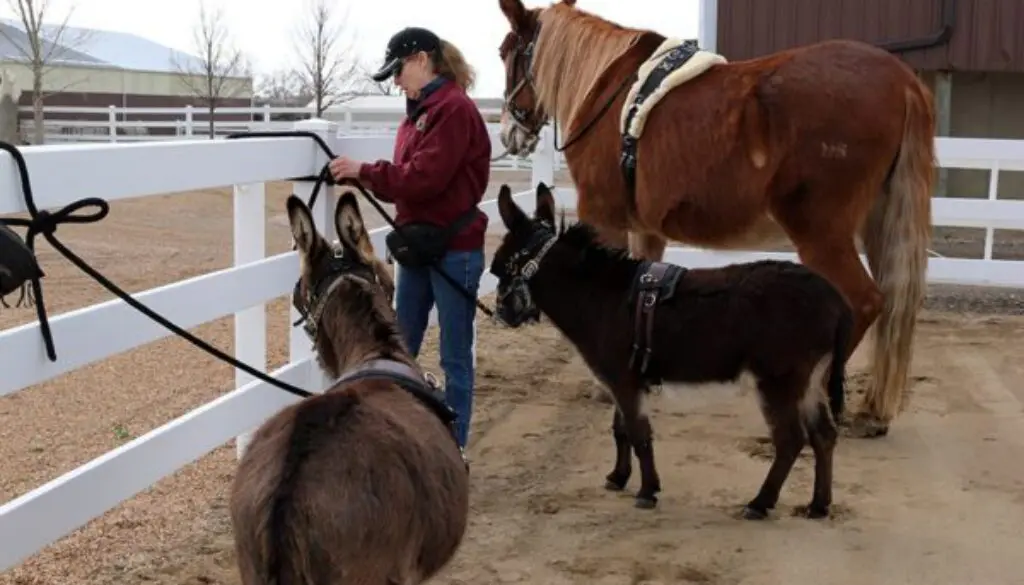 IMG_9649CC-ROLL-Slide-Show-4-15-18