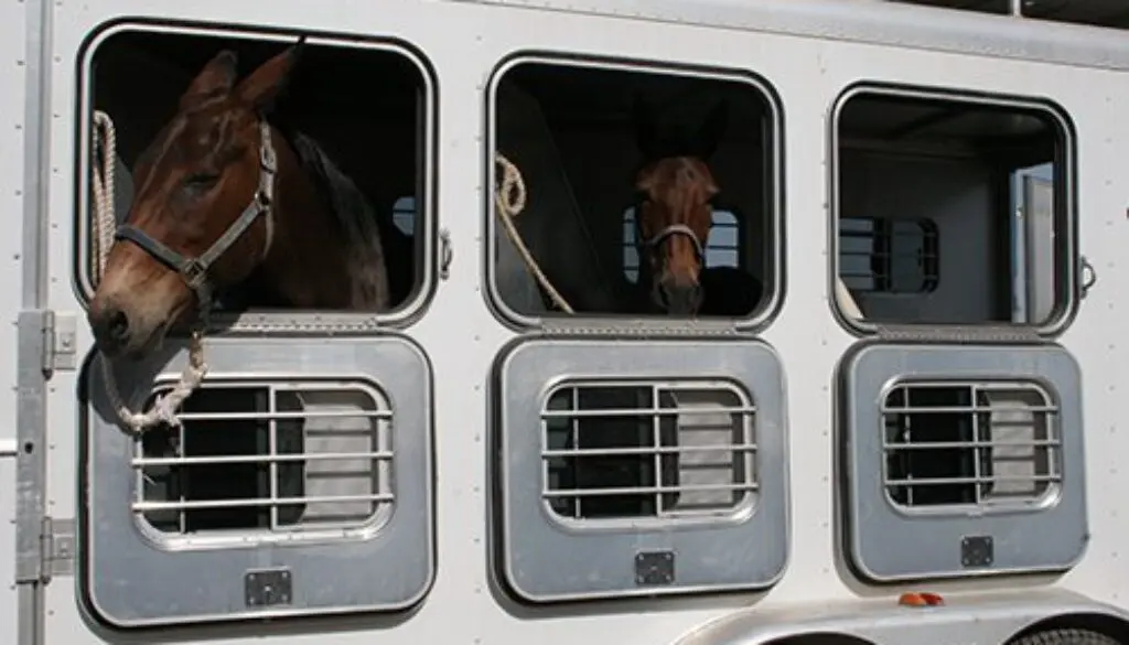 JGTBShot189a7-17-09 394CC