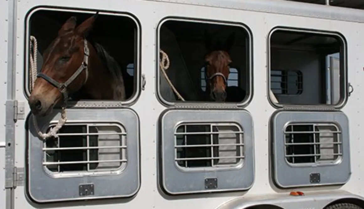 JGTBShot189a7-17-09 394CC