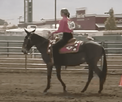LMV-WesternRiding