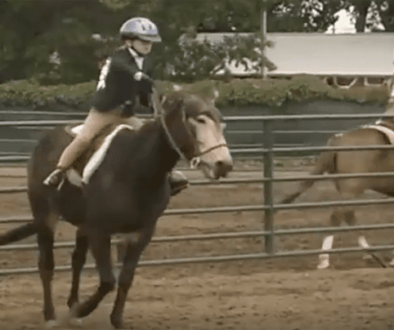 LMVkidsandmules