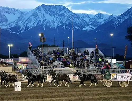 LTR-Slider10-500x385