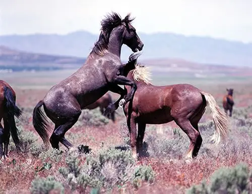 LTR-Slider11-500x385