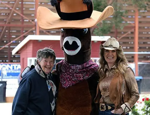 LTR-Slider12-500x385