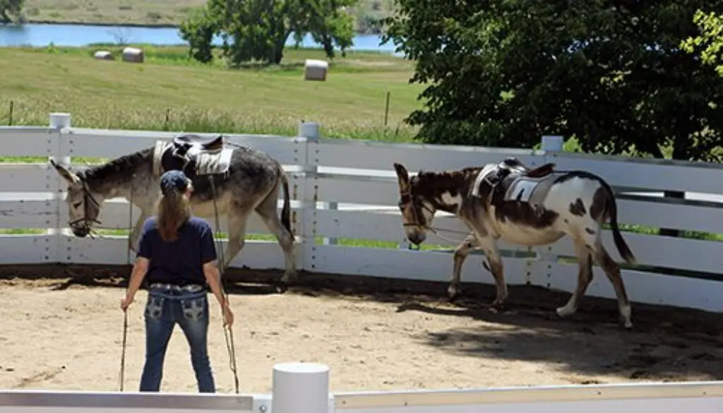 LearningtoSubmit totheElbow Pull62320_18