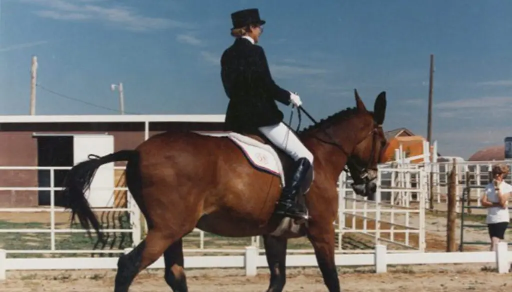 Mersunnydressagegoingaway600DPICC Mersunnydressagegoingaway600DPICC