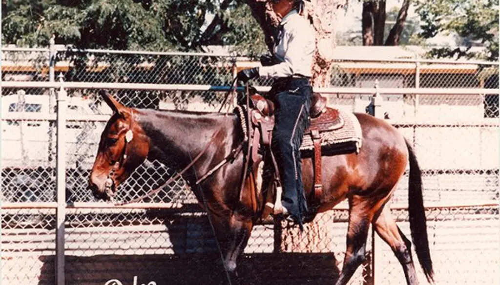 Merwesternpuebloslide25