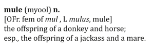 Mule Definition