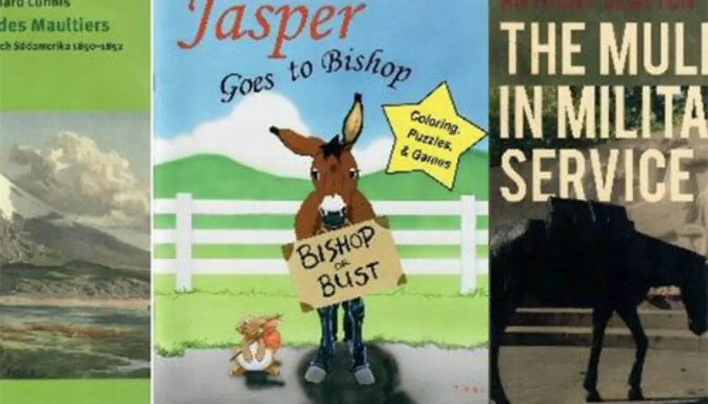 Mule Media Archive 3 copy