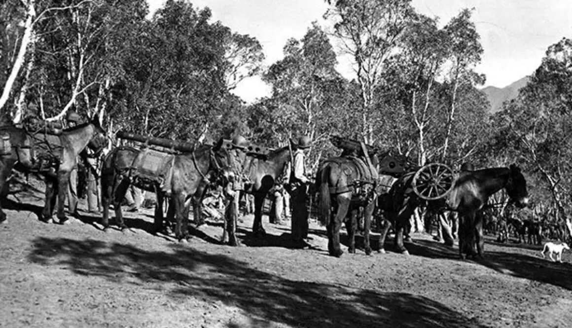 New-Calendonia-1943CC